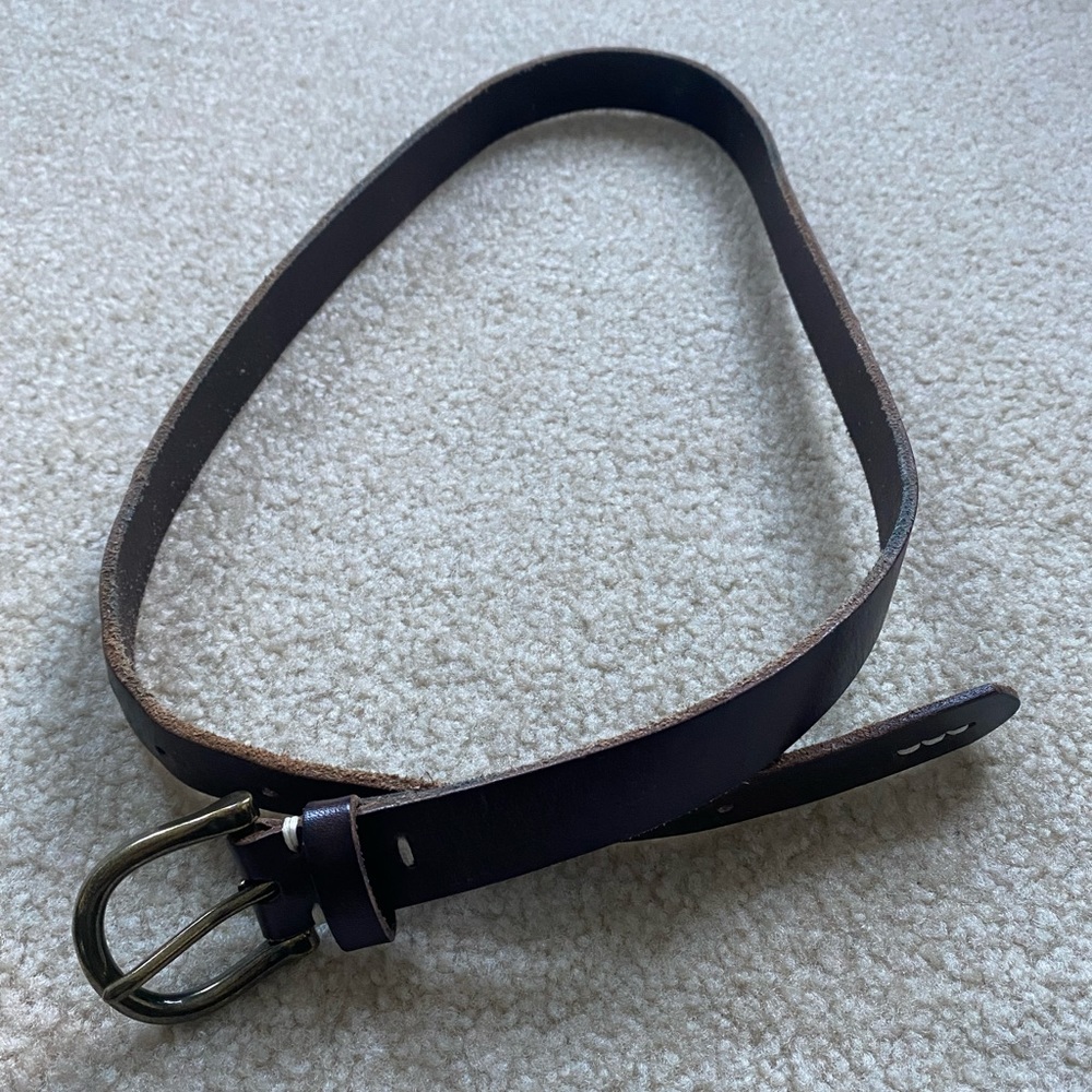 Brown belt with gold buckle